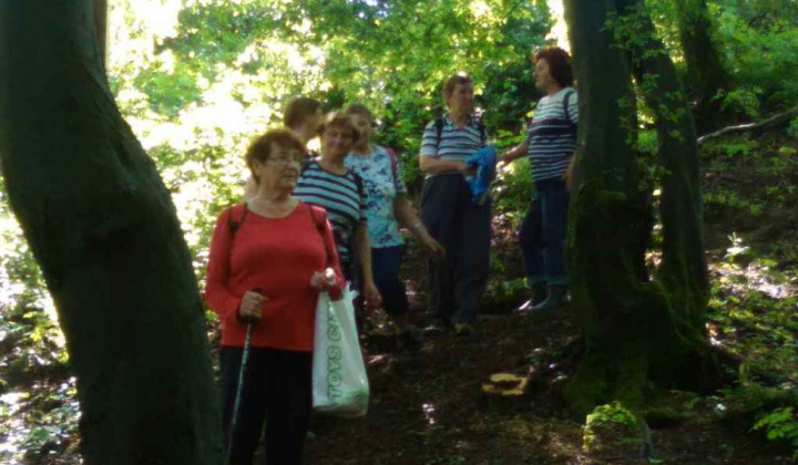 Zobraziť fotografiu