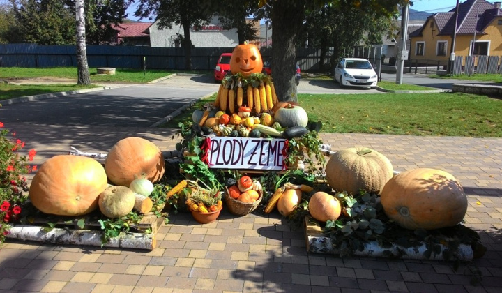 Zobraziť fotografiu
