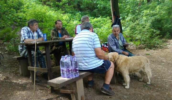 Zobraziť fotografiu