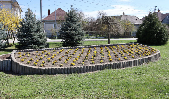 Zobraziť fotografiu