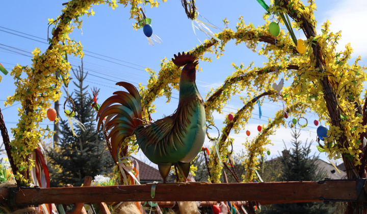 Zobraziť fotografiu