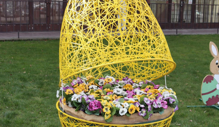 Zobraziť fotografiu